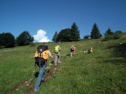 SENTIERO DEI FIORI CLAUDIO BRISSONI, percorso con giro ad anello, partendo dal Rif. Capanna 2000 il 1 agosto 2012  - FOTOGALLERY